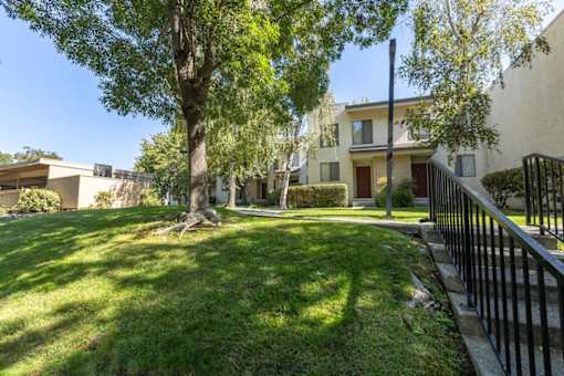 a yard with a tree and a wrought iron fence