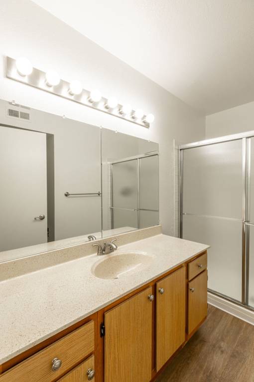 a bathroom with a sink and a shower