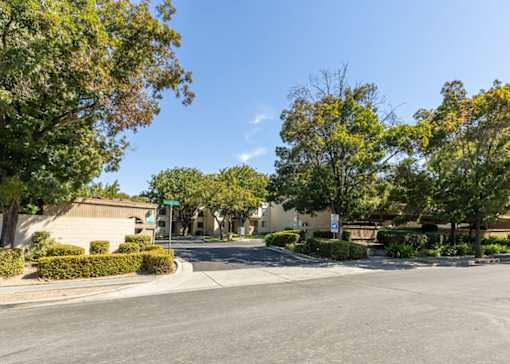 an empty street in a neighborhood with trees