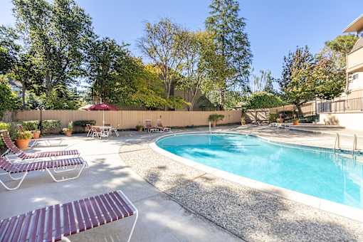A pool surrounded by trees and a patio with chairs.