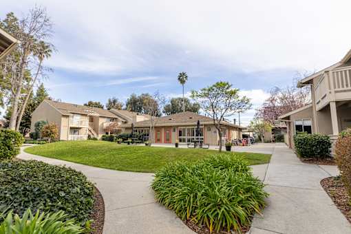 A residential area with a building and a tree in the middle.