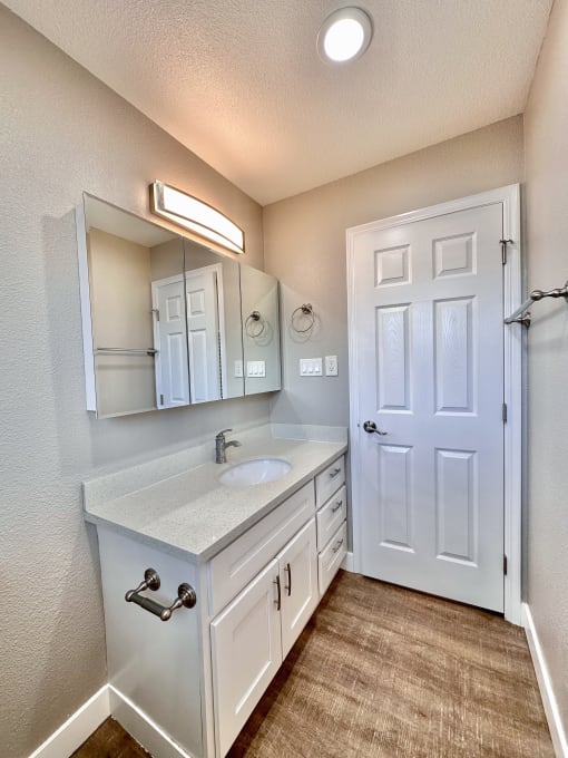 a bathroom with a sink and a mirror
