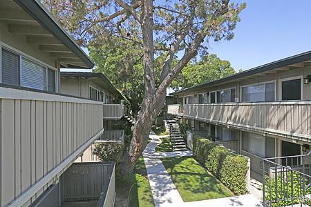 Upper courtyard view