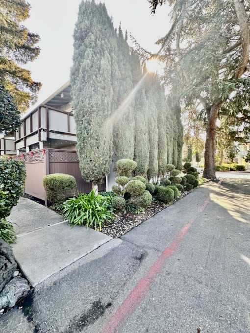 a house with a driveway and trees in front of it