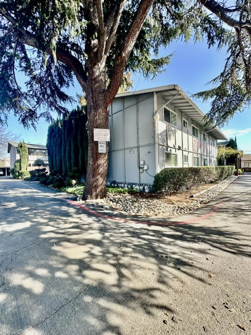 a tree in front of a building with a sign on it