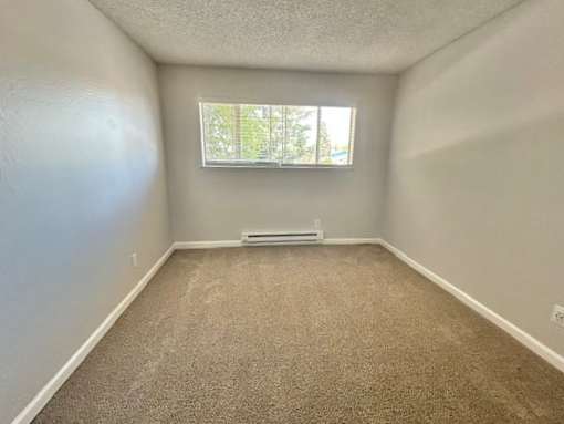 A room with a window and a carpeted floor.