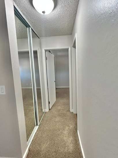 A hallway with a carpeted floor and a white door.