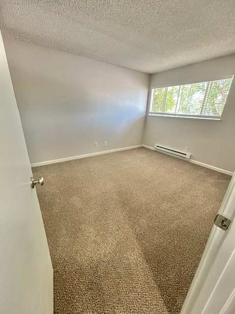A room with a carpeted floor and a window.