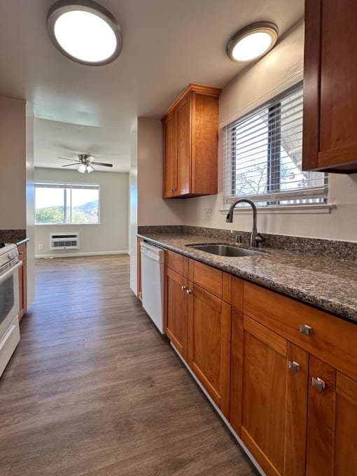 a kitchen with a sink and a counter top