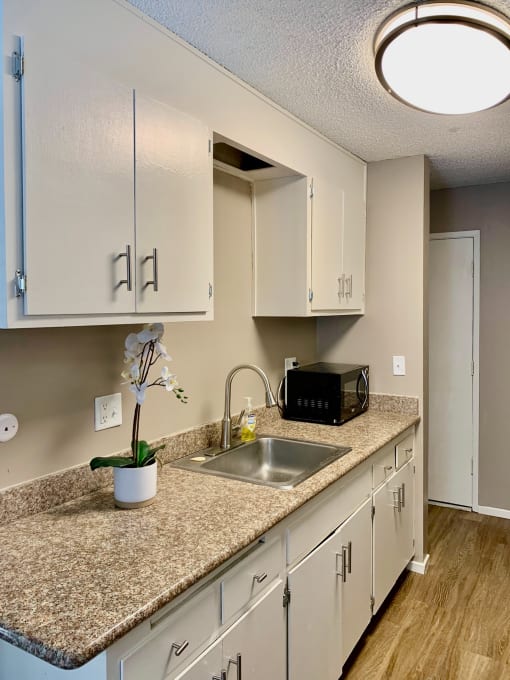 a kitchen with white cabinets and granite counter top and a sink
