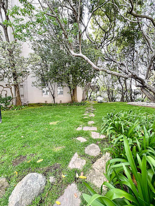 a yard with grass and rocks and trees
