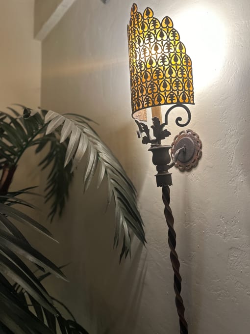 a lamp on a wall next to a plant
