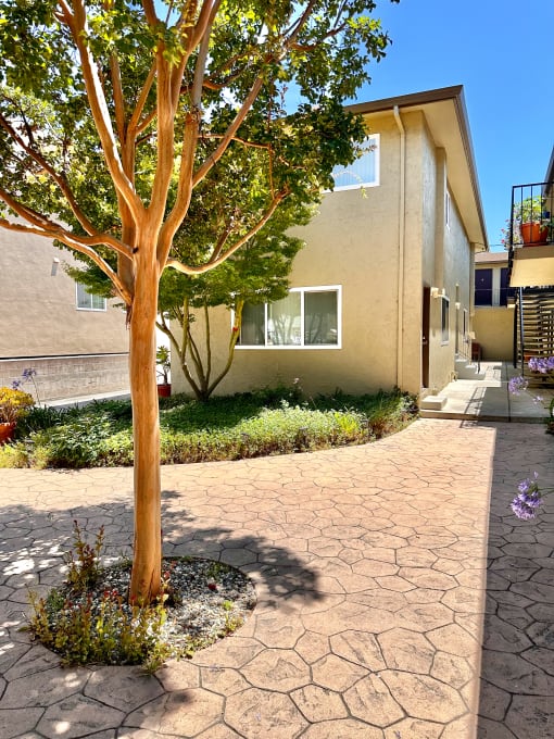 a tree in front of a building