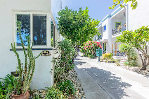 a street view of a white house with plants and a sidewalk