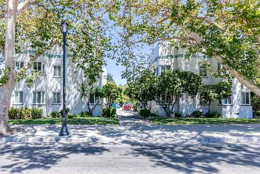 a street with trees in front of white apartment buildings