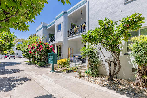 a white house with a sidewalk and plants in front of it