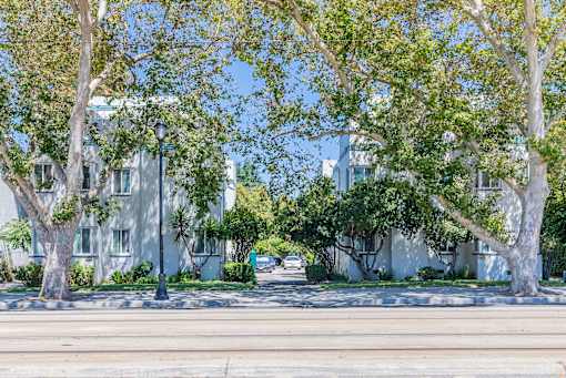 a street with trees in front of some buildings
