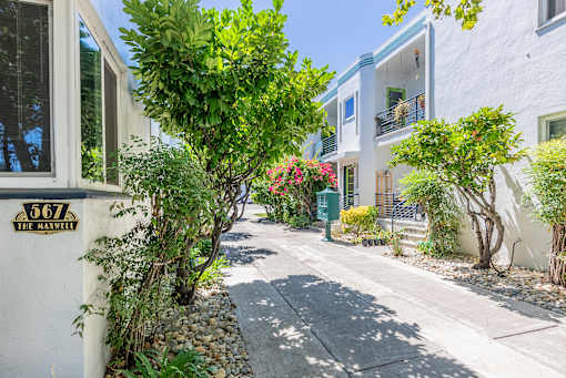 a street with white buildings and trees and a sidewalk