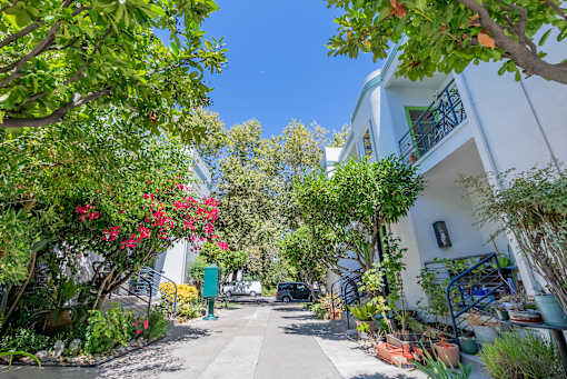 a street between two white buildings with plants and trees