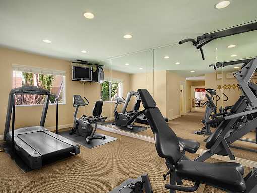 A gym with treadmills, exercise bikes, and other equipment.