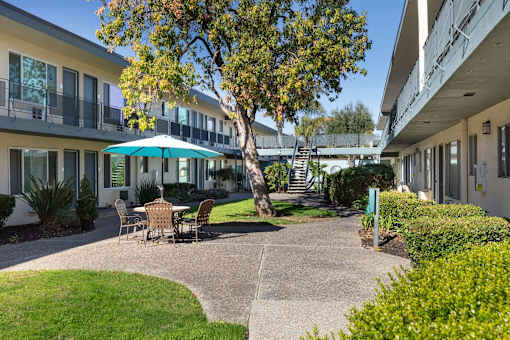 A patio with a table and chairs is surrounded by a grassy area and a tree.