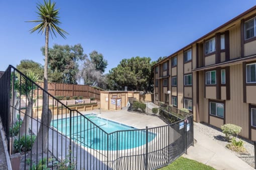 our apartments offer a swimming pool and a patio with a palm tree