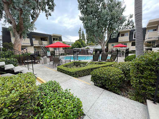 A pool surrounded by trees and bushes with a building in the background.