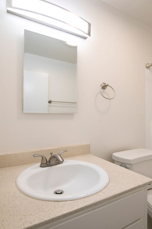 a bathroom with a sink and a mirror and a toilet