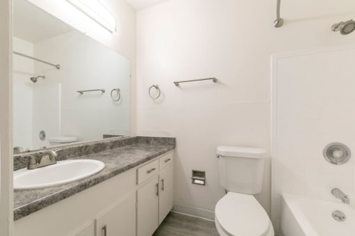 a bathroom with a sink toilet and a mirror