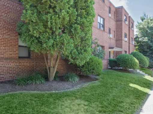A tree in front of a red brick building.