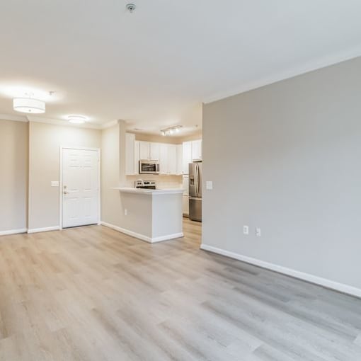 Living And Kitchen at Evergreens at Smith Run, Fredericksburg, VA, 22401