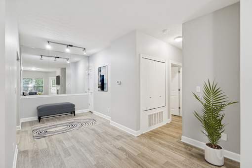 A room with a plant and a bench.