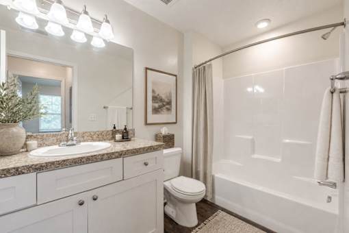 A bathroom with a white toilet and a white bathtub.