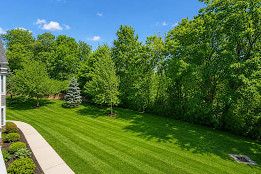 A beautifully manicured lawn with a variety of trees and a clear blue sky.