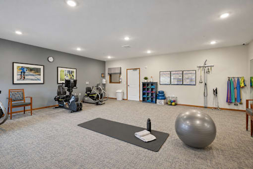 A room with a grey floor and a grey exercise ball.