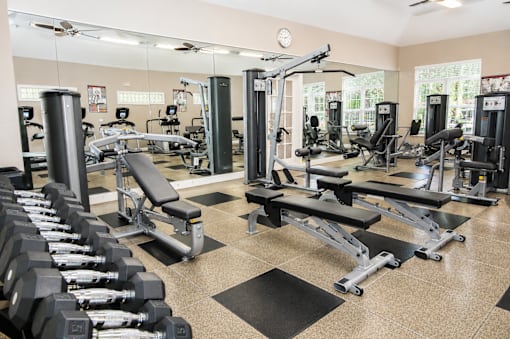 A gym with a variety of equipment including dumbbells, weight machines, and benches.