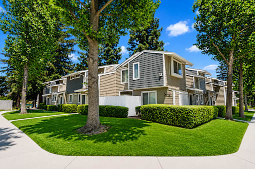 A row of houses with green trees in front.