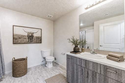 Spacious bathroom with modern finishes and vanity at Silver Ridge Apartments, Meridian, Idaho
