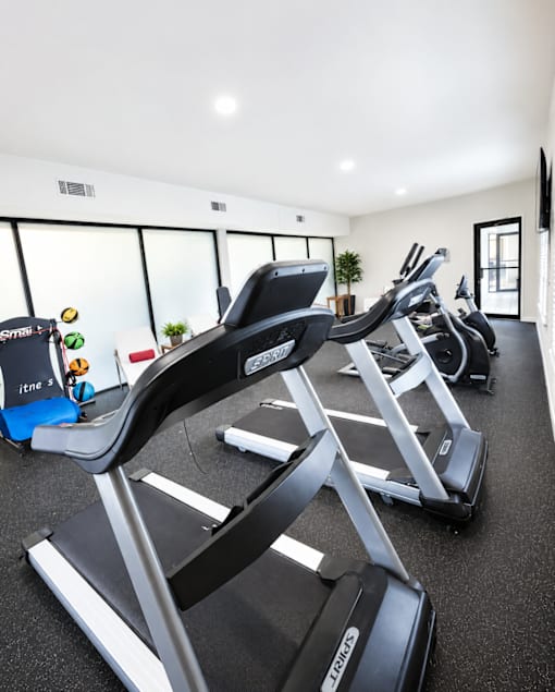 Fitness center with cardio equipment at Stonetree Apartments, Georgia