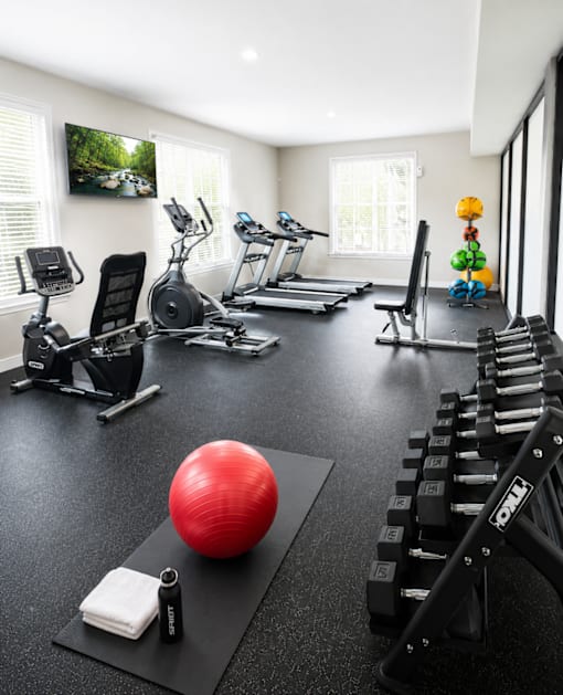 Fitness center with cardio and strength training equipment at Stonetree Apartments, East Point