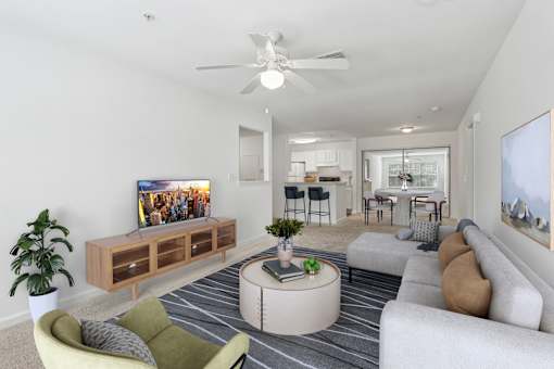 A living room with a television, a sofa, a chair, a table, and a plant.