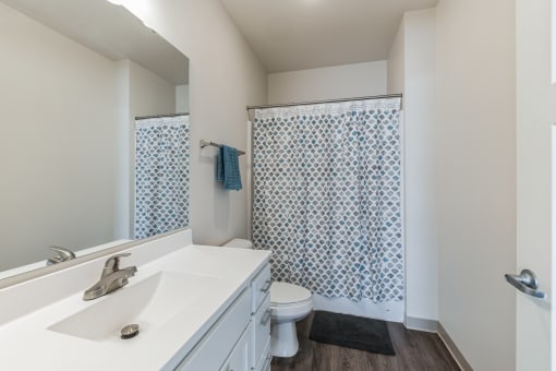 a bathroom with a sink and a toilet and a shower