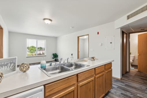 Apartment kitchen with a double-basin stainless steel sink, wooden cabinetry, and a white countertop. The open-concept design connects to a bright living area with a large window, and a hallway leading to a bathroom with wood-style flooring throughout