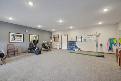 a workout room with a treadmill and weights in a home gym