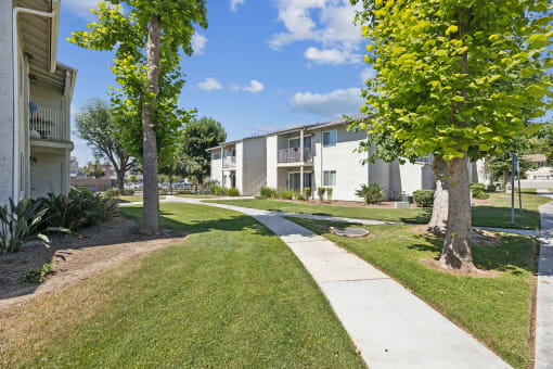 the preserve at ballantyne commons apartments walking path and trees