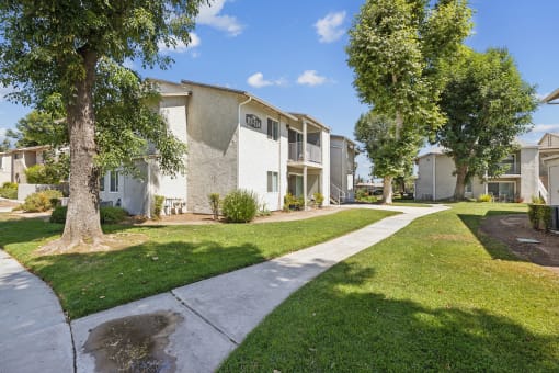 a tree lined sidewalk in front of an apartment building