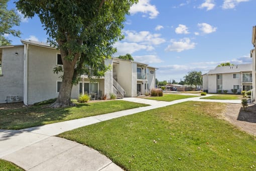 a sidewalk between two apartment buildings with grass and trees