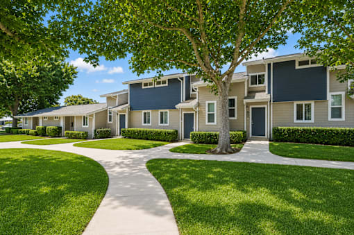 A tree stands in front of a building with a walkway in front of it.