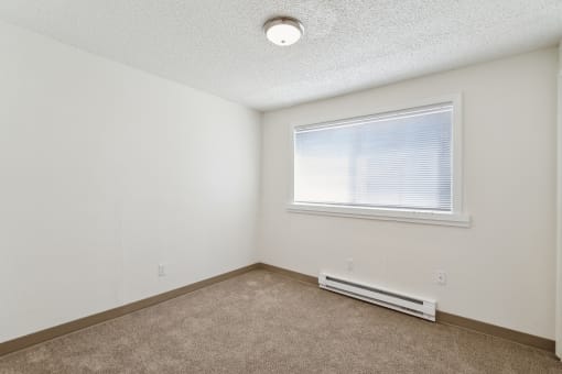 the living room of an apartment with carpet and a window