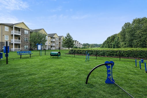 A playground with a blue slide and a green lawn.